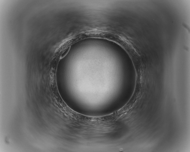 X0000099501350200805151421