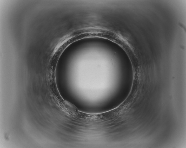 X0000099501352200805151421