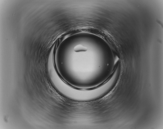 X0000099501353200805151421