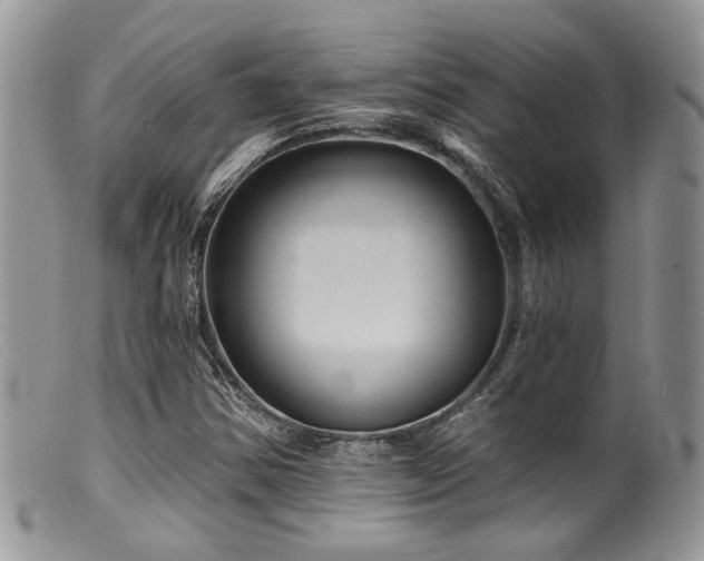 X0000099501354200805151421