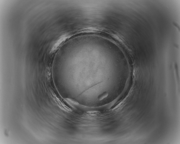 X0000099501355200805151421
