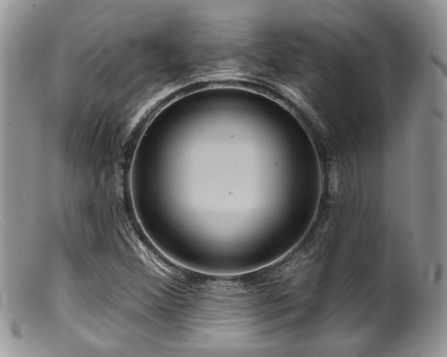 X0000099501356200805151421