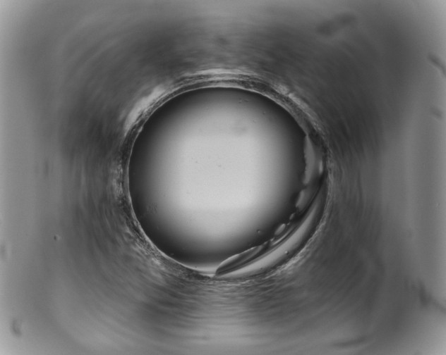X0000099501357200805151421