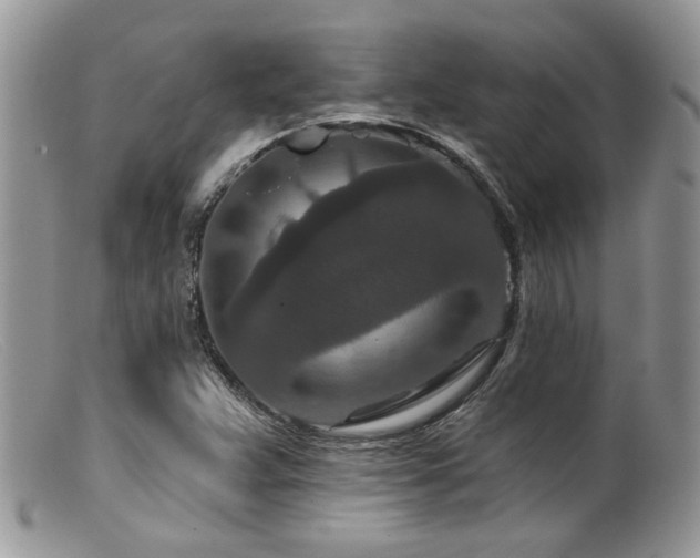 X0000099501359200805151421