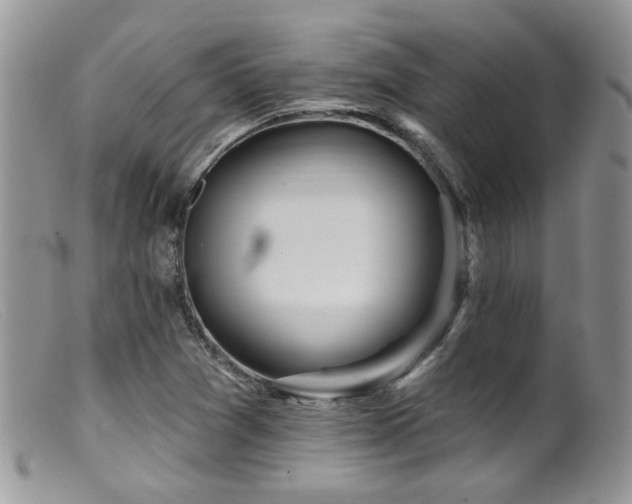 X0000099501361200805151421