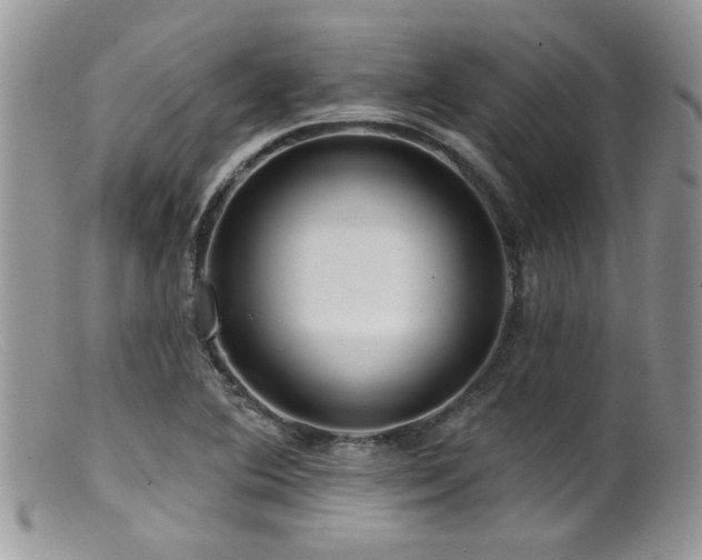 X0000099501364200805151421