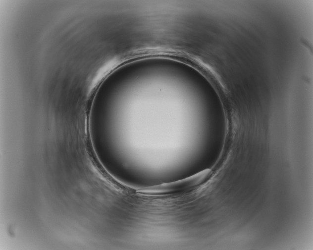 X0000099501365200805151421