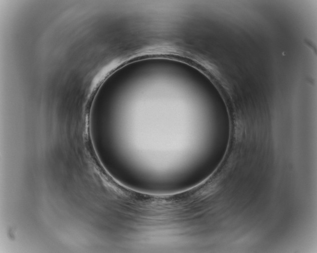 X0000099501366200805151421