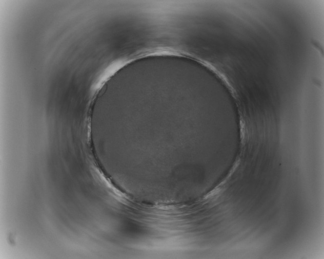 X0000099501367200805151421