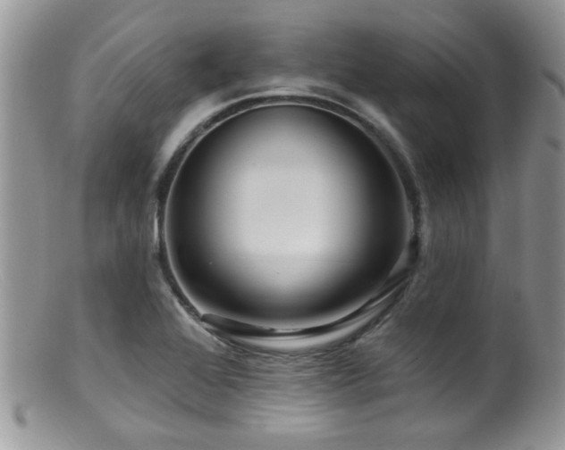 X0000099501368200805151421