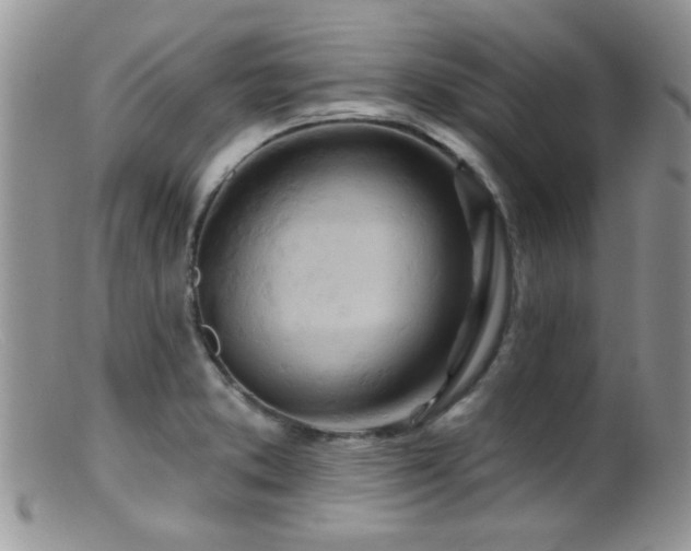 X0000099501373200805151421