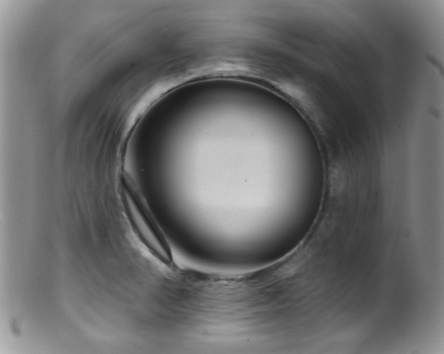 X0000099501374200805151421
