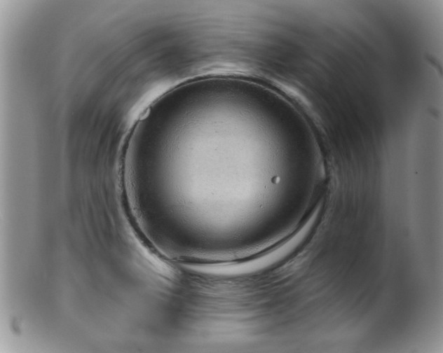 X0000099501375200805151421