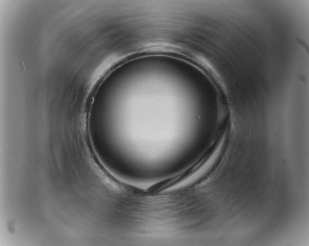 X0000099501376200805151421