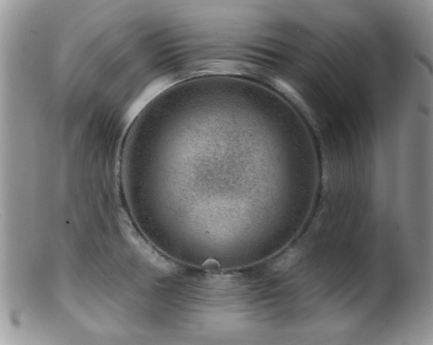 X0000099501378200805151421