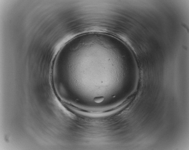 X0000099501379200805151421