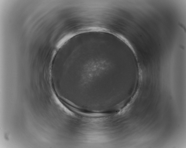 X0000099501381200805151420