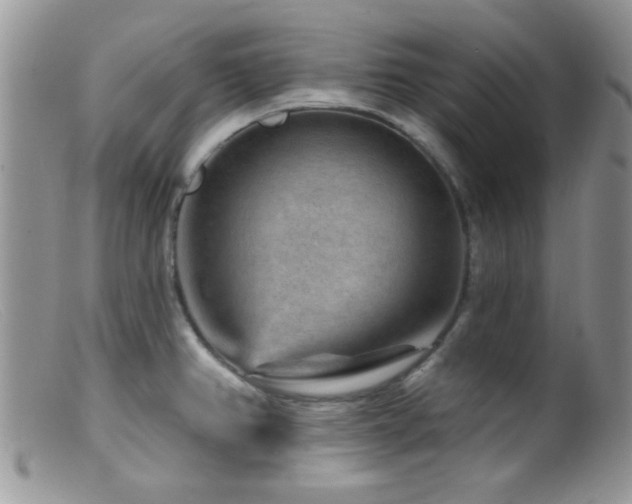 X0000099501382200805151420