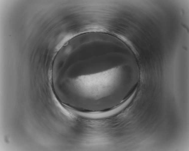 X0000099501383200805151420