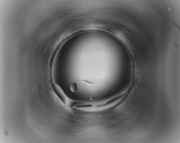 X0000099501384200805151420