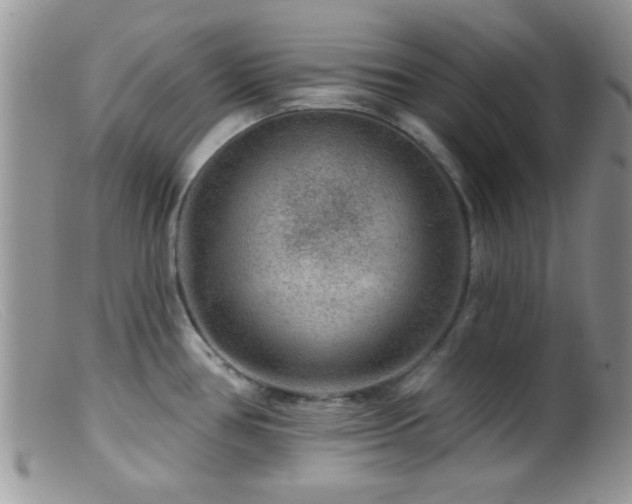 X0000099501386200805151420
