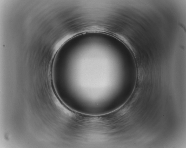 X0000099501387200805151420