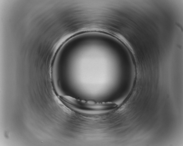 X0000099501388200805151420