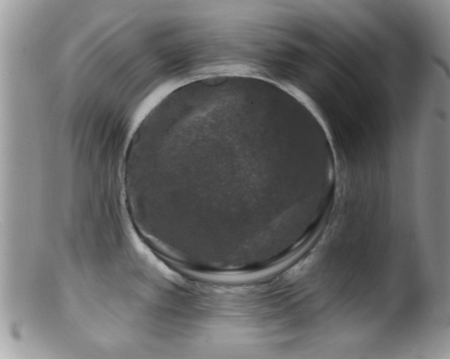 X0000099501389200805151420