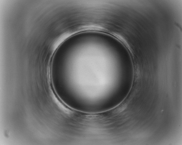X0000099501391200805151420