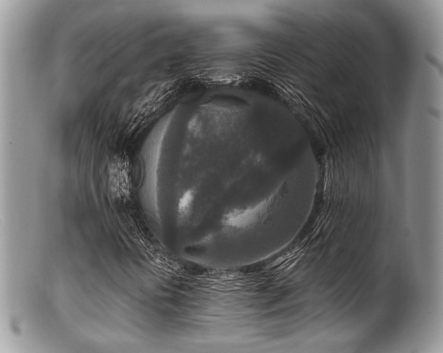 X0000099501394200805151420