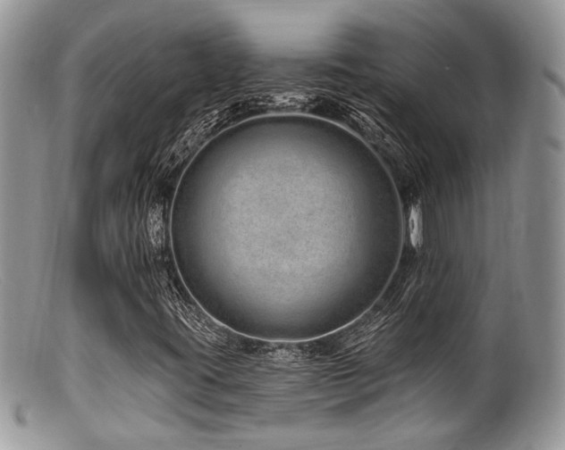 X0000099501395200805151420