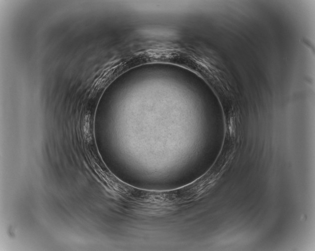X0000099501396200805151420
