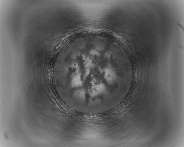 X0000099501397200805151420