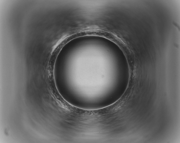 X0000099501400200805151420
