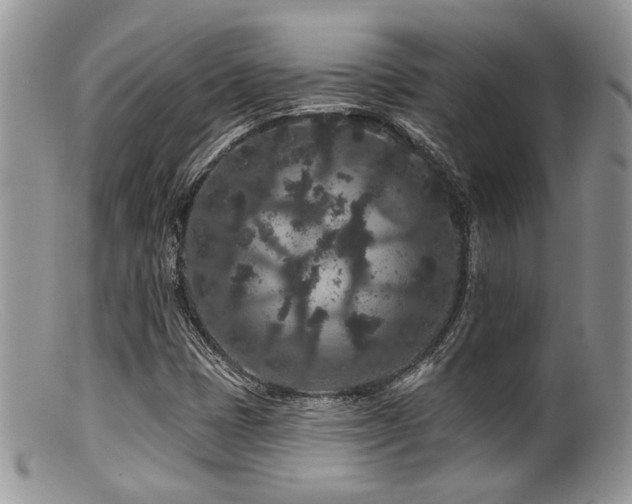 X0000099501401200805151420
