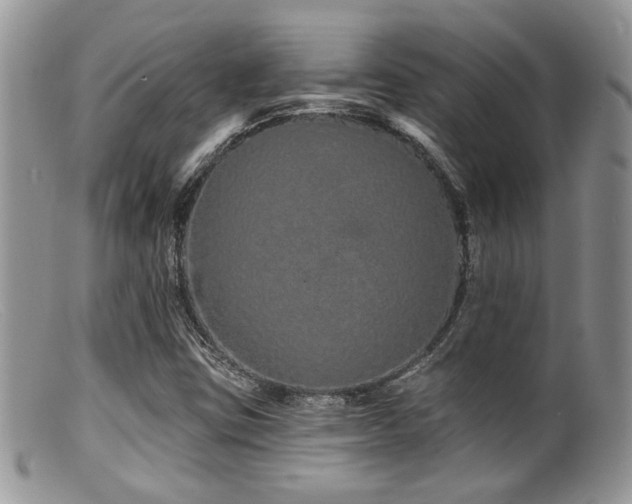 X0000099501403200805151420