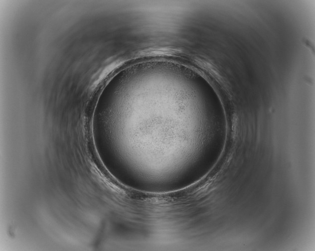 X0000099501404200805151420