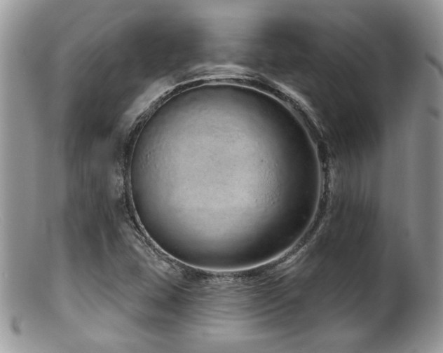 X0000099501407200805151420