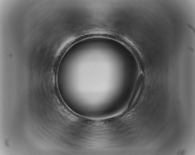 X0000099501408200805151420