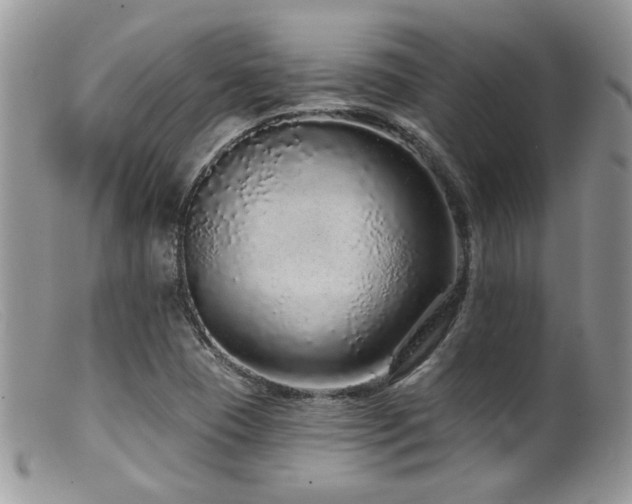X0000099501409200805151420