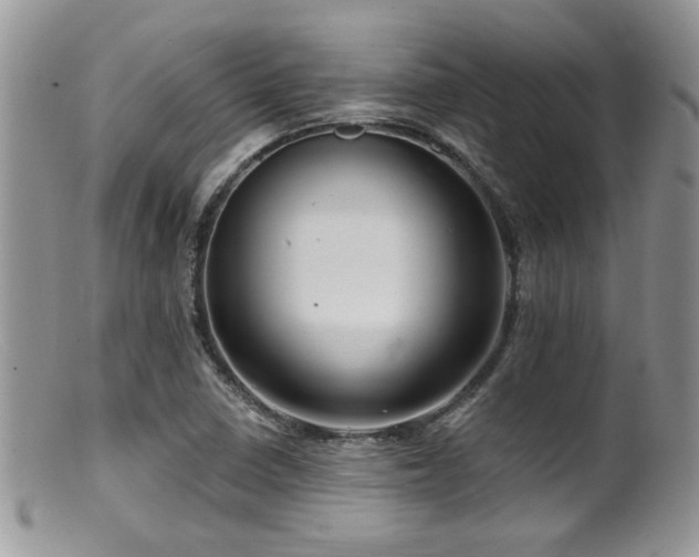X0000099501410200805151420