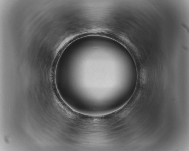 X0000099501412200805151420