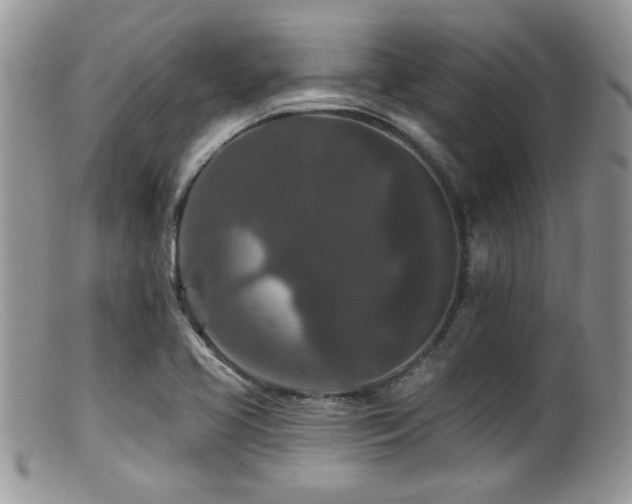 X0000099501413200805151420