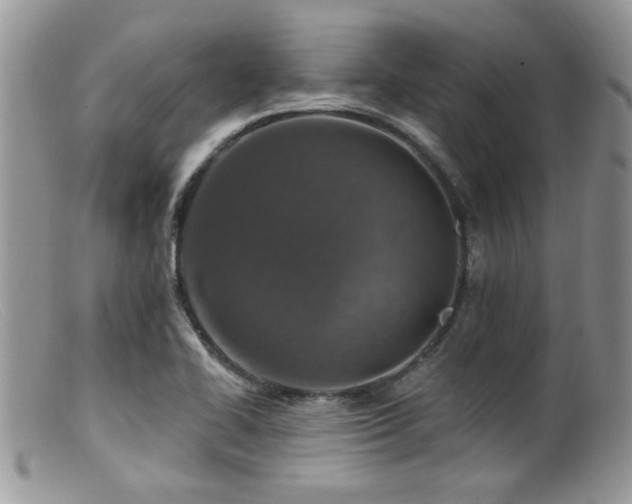 X0000099501414200805151420