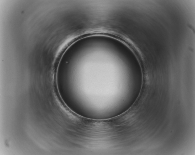 X0000099501416200805151420