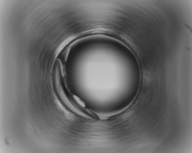 X0000099501418200805151420