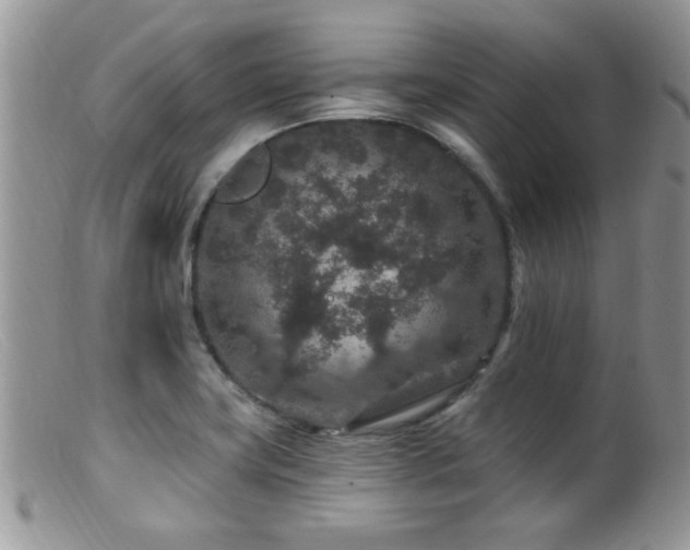 X0000099501419200805151420