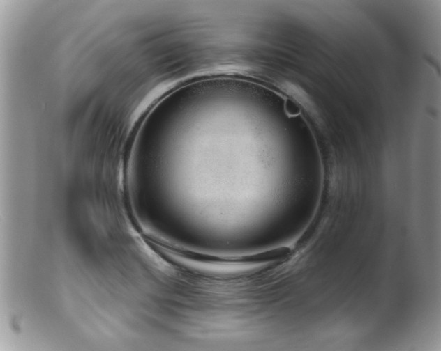 X0000099501420200805151420