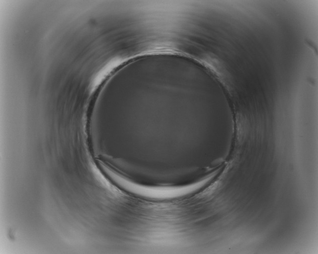 X0000099501422200805151420