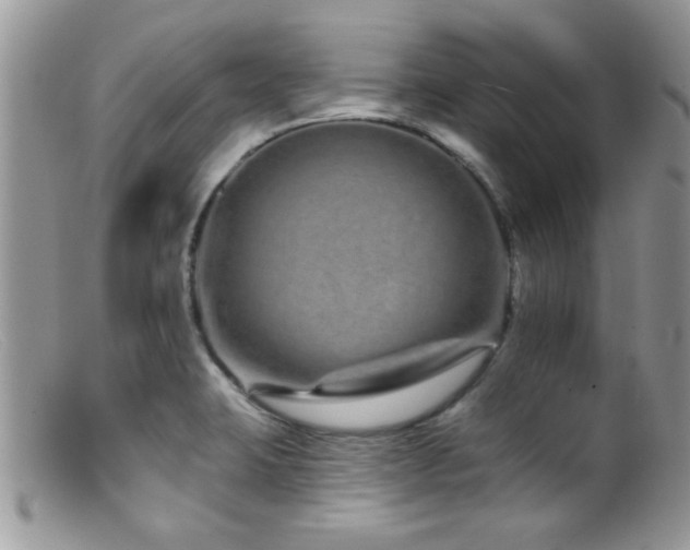 X0000099501423200805151420